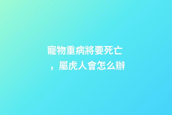 寵物重病將要死亡，屬虎人會怎么辦